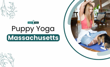 パピーヨガ（マサチューセッツ州）