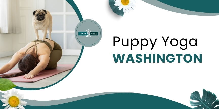 Puppy Yoga Washington
