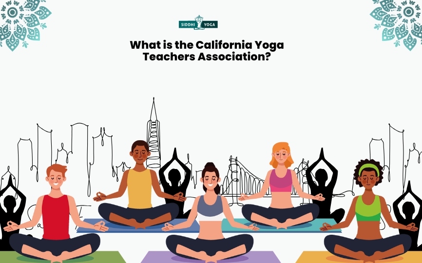 Che cos'è la California Yoga Teachers Association?