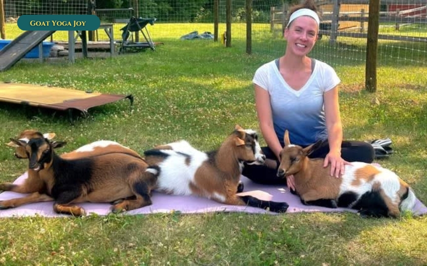 Goat Yoga Joy
