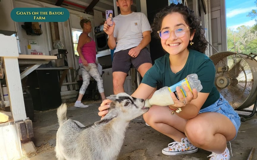 Goats on the Bayou FarmÂ