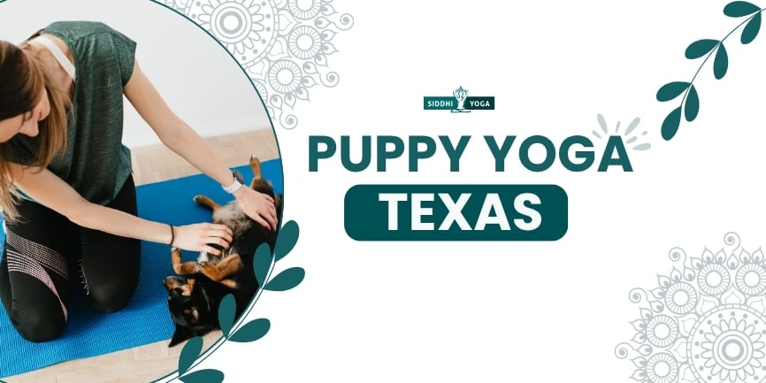 Puppy Yoga Texas