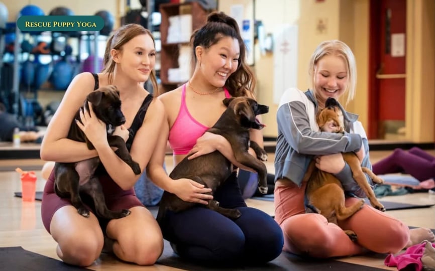 Yoga per cuccioli salvati