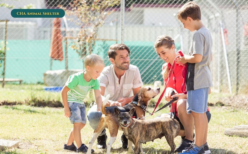 CHA Animal Shelter