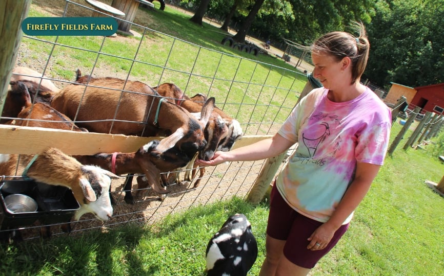 ファイアフライ・フィールズ・ファーム