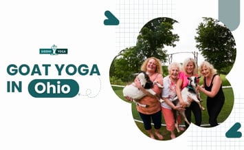 Yoga con cabras en Ohio