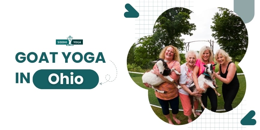 Goat Yoga in Ohio