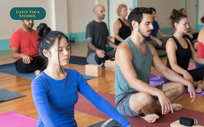 Estudios de Yoga Lotus