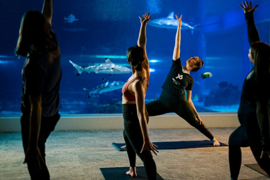 Loveland Living Planet Aquarium