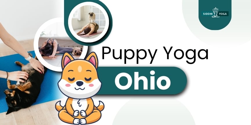 Puppy Yoga Ohio