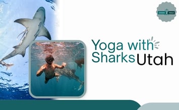Yoga com Tubarões em Utah