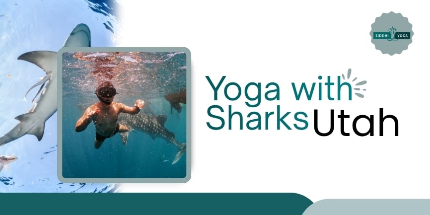 Yoga with Sharks Utah