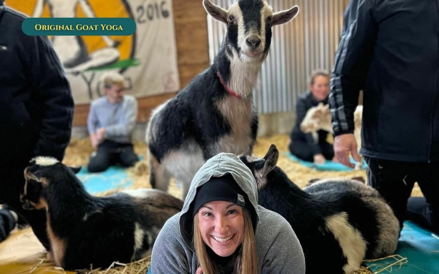Original Goat Yoga