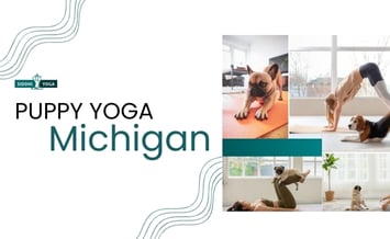 Yoga para filhotes em Michigan