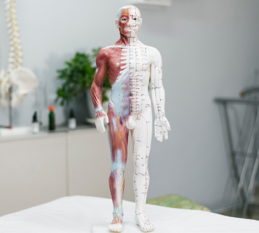 आप एक योग शिक्षक हैं और अपनी शिक्षण क्षमताओं को बेहतर बनाना चाहते हैं