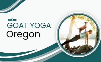 Goat Yoga Oregon