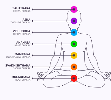أنت تبحث عن مهارات عملية لتقييم المشكلات الطبية