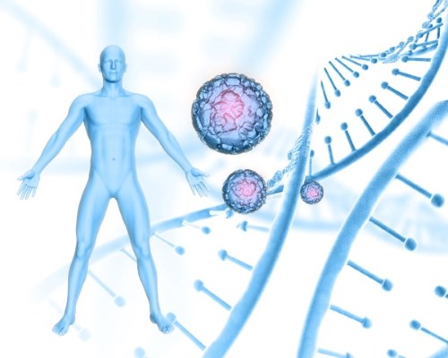 cellular-and-hormonal-impacts