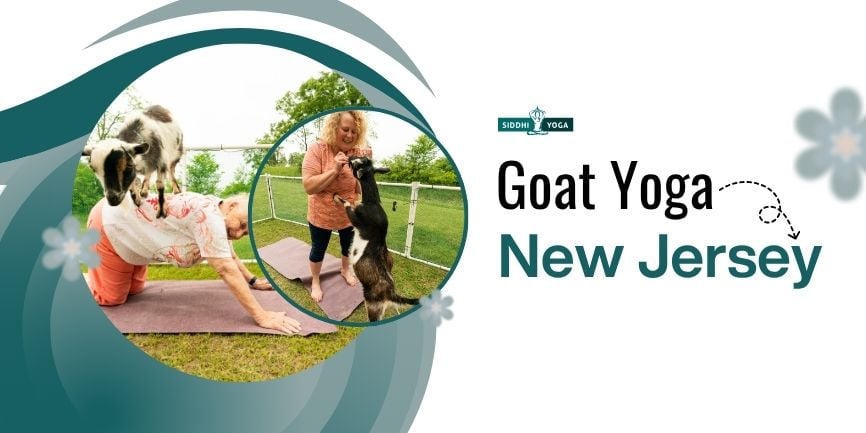 Goat Yoga New Jersey