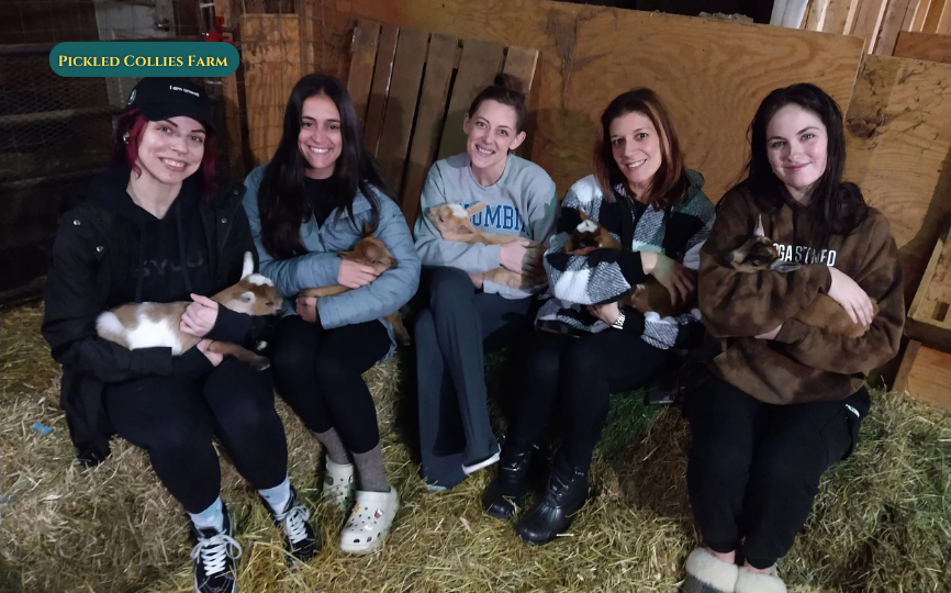 Pickled Collies Farm