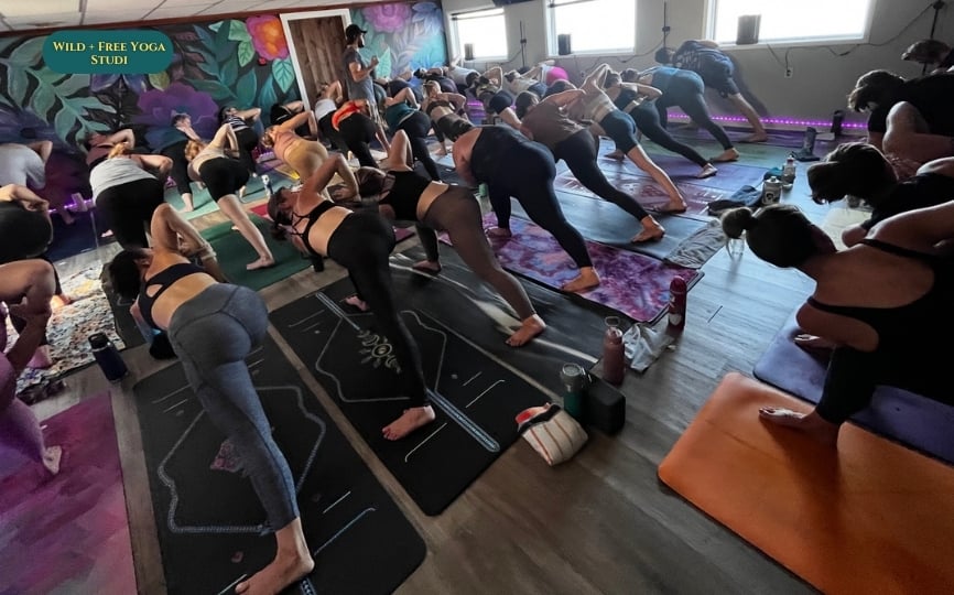 Wild + Free Yoga Studio